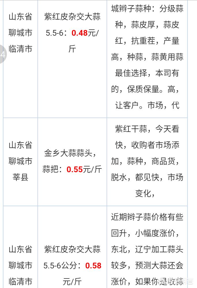 大蒜网最新价格动态与市场波动分析