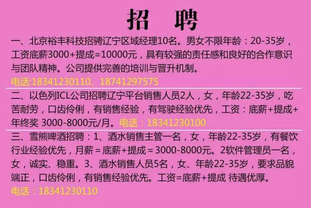 台安招聘网最新招聘动态深度解析与解读