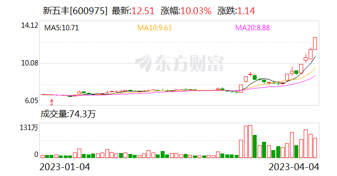 新五丰最新动态引人瞩目关注