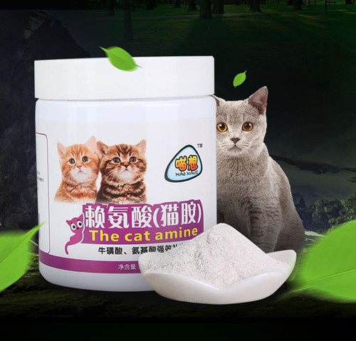 猫咪赖氨酸的正确用法与理解应用指南