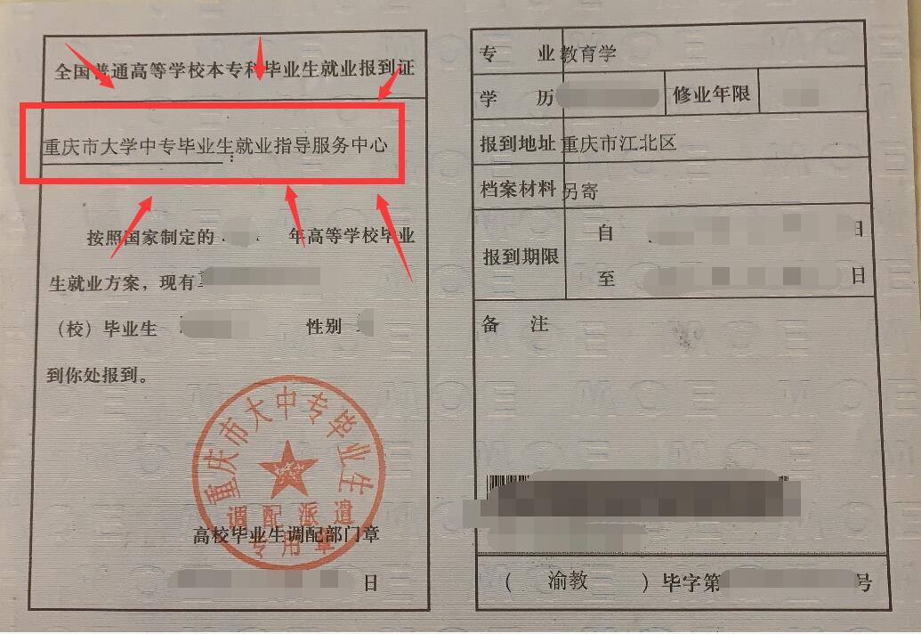 教师资格证改革重塑教育行业关键力量新篇章