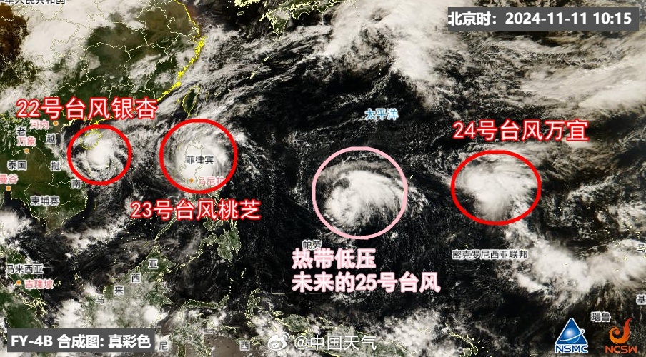 2024年12月19日 第5页