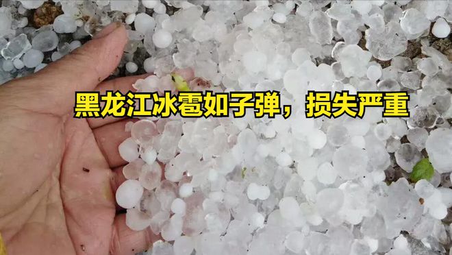 黑龙江冰雹灾害最新动态，影响及应对措施