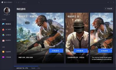 PUBG最新版下载指南与体验分享，游戏攻略及感受总结